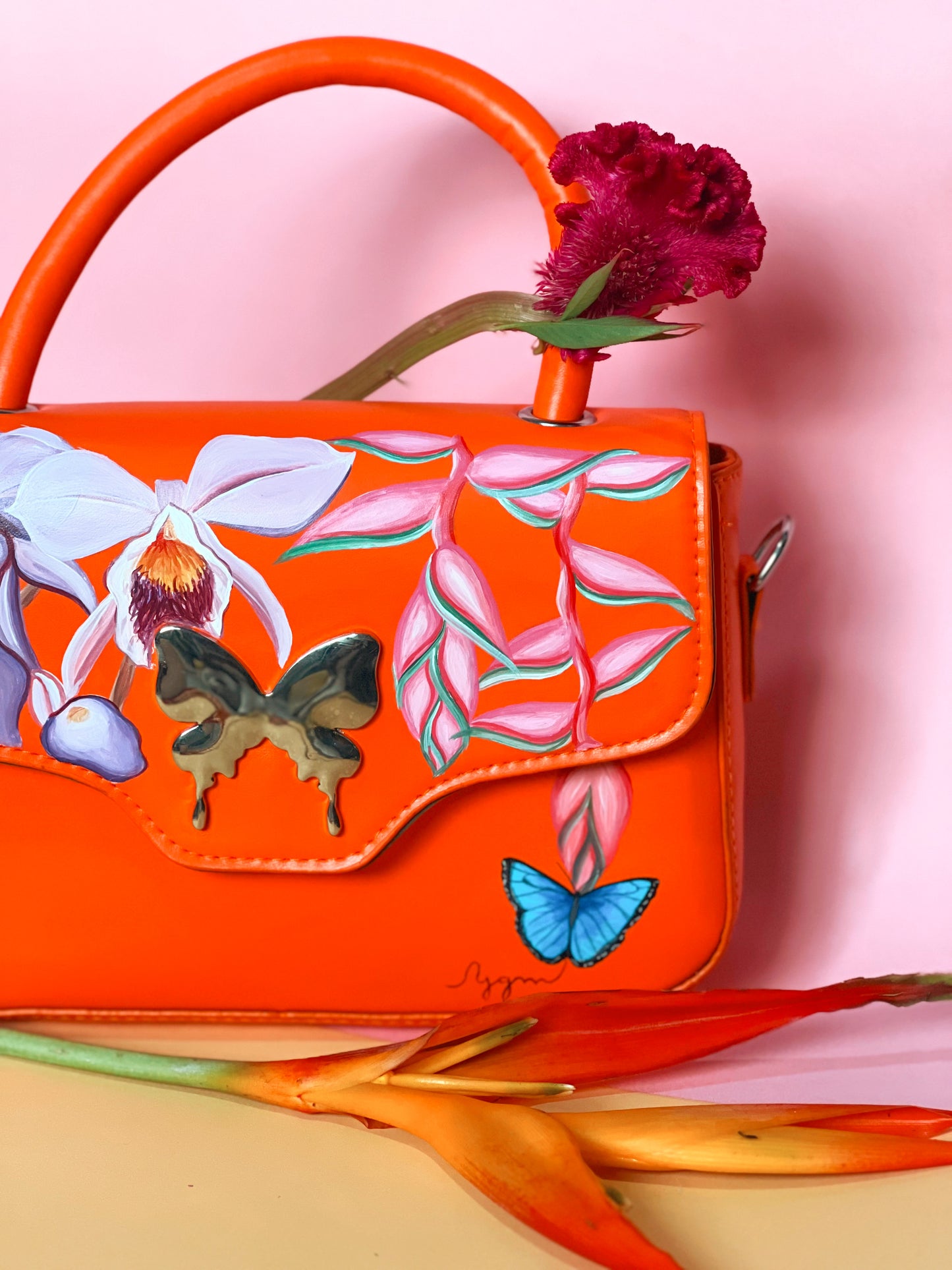 Cartera “Morpho”
